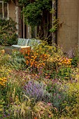 FRANT GARDEN, CHRIS BROWN: BORDER, CIRSIUM RIVULARE, PERSICARIA ALBA, ACHILLEA CLOTH OF GOLD, HELIOPSIS SUMMER NIGHTS, FENNEL, VERBENA BONARIENSIS, ECHINACEA HULA DANCER, PEROVSKIA