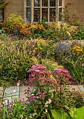 FRANT GARDEN, CHRIS BROWN: BORDER, CIRSIUM RIVULARE, PERSICARIA ALBA, ACHILLEA, HELIOPSIS SUMMER NIGHTS, FENNEL, PEROVSKIA, EUPATORIUM ATROPURPUREUM, OENOTHERA SINUOSA