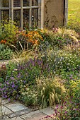 FRANT GARDEN, CHRIS BROWN: BORDER, CIRSIUM RIVULARE, PERSICARIA ALBA, ACHILLEA CLOTH OF GOLD, HELIOPSIS SUMMER NIGHTS, FENNEL, ECHINACEA HULA DANCER, AGASTACHE BLACK ADDER