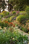 FRANT GARDEN, CHRIS BROWN: BORDERS, STEPS, PENNISETUM VILLOSUM, GERANIUM ROZANNE, BIDENS AUREA HANNAYS LEMON DROP, HELENIUM SAHINS EARLY FLOWERER