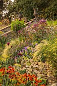 FRANT GARDEN, CHRIS BROWN: BORDERS, STEPS, STIPA, NASELLA TENUISSIMA, GERANIUM ROZANNE, BIDENS AUREA HANNAYS LEMON DROP, HELENIUM SAHINS EARLY FLOWERER, EUPATORIUM ATROPURPUREUM