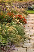 FRANT GARDEN, CHRIS BROWN: BORDER, STIPA LESSINGIANA, PENNISETUM VILLOSUM, HELENIUM SAHINS EARLY FLOWERER, AGASTACHE BLACK ADDER, STIPA PSEUDOICHU, FENNEL, VERBENA BONARIENSIS
