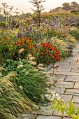 FRANT GARDEN, CHRIS BROWN: BORDER, STIPA LESSINGIANA, PENNISETUM VILLOSUM, HELENIUM SAHINS EARLY FLOWERER, AGASTACHE BLACK ADDER, STIPA PSEUDOICHU, FENNEL, VERBENA BONARIENSIS