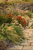 FRANT GARDEN, CHRIS BROWN: BORDER, STIPA LESSINGIANA, PENNISETUM VILLOSUM, HELENIUM SAHINS EARLY FLOWERER, AGASTACHE BLACK ADDER, STIPA PSEUDOICHU, FENNEL, VERBENA BONARIENSIS