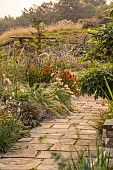 FRANT GARDEN, CHRIS BROWN: BORDER, STIPA LESSINGIANA, PENNISETUM VILLOSUM, HELENIUM SAHINS EARLY FLOWERER, AGASTACHE BLACK ADDER, STIPA PSEUDOICHU, FENNEL, VERBENA BONARIENSIS