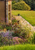 FRANT GARDEN, CHRIS BROWN: BORDERS, PATIO, TERRACE, LAWN, VERBENA BONARIENSIS, FENNEL, ECHINACEA, PEROVSKIA, HELENIUM SAHINS EARLY FLOWERER