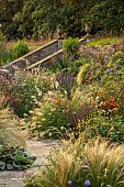 FRANT GARDEN, CHRIS BROWN: BORDERS, STEPS, PENNISETUM VILLOSUM, FENNEL, AGASTACHE BLACK ADDER, GAURA, FENNEL, ECHINACEA PALLIDA, HELIOPSIS SUMMER NIGHTS