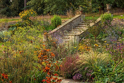 FRANT_GARDEN_CHRIS_BROWN_STEPS_AGASTACHE_BLACK_ADDER_GERANIUM_ROZANNE_NASELLA_TENUISSIMA_EUPATORIUM_