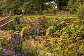 FRANT GARDEN, CHRIS BROWN: STEPS, AGASTACHE BLACK ADDER, GERANIUM ROZANNE, NASELLA TENUISSIMA, EUPATORIUM ATROPURPUREUM, FENNEL, PENNISETUM VILLOSUM, HELIOPSIS SUMMER NIGHTS