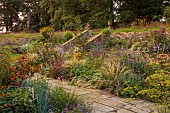 FRANT GARDEN, CHRIS BROWN: STEPS, AGASTACHE BLACK ADDER, GERANIUM ROZANNE, NASELLA TENUISSIMA, EUPATORIUM ATROPURPUREUM, FENNEL, PENNISETUM VILLOSUM, HELIOPSIS SUMMER NIGHTS