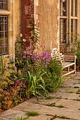 FRANT GARDEN, CHRIS BROWN: BORDER BY HOUSE, WOODEN SEAT, KNIPHOFIA NORTHIAE, ASTRANTIA ROMA, PHLOX PRINCESS STURDZA, ROSA NEW DAWN, FENNEL