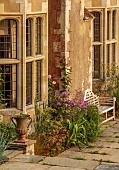 FRANT GARDEN, CHRIS BROWN: BORDER BY HOUSE, WOODEN SEAT, KNIPHOFIA NORTHIAE, ASTRANTIA ROMA, PHLOX PRINCESS STURDZA, ROSA NEW DAWN, FENNEL