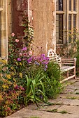 FRANT GARDEN, CHRIS BROWN: BORDER BY HOUSE, WOODEN SEAT, KNIPHOFIA NORTHIAE, ASTRANTIA ROMA, PHLOX PRINCESS STURDZA, ROSA NEW DAWN, FENNEL