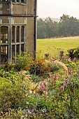 FRANT GARDEN, CHRIS BROWN: FOENICULUM VULGARE, VERBENA BONARIENSIS, SANGUISORBA BLACKTHORN, STIPA LESSINGIANA, HELENIUM SAHINS EARLY FLOWERER, ECHINACEA PALLIDA