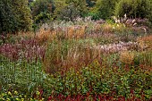 KNOLL GARDENS, DORSET: SEPTEMBER, GRASSES, WOODEN SEAT, BENCH, THE DRAGON GARDEN