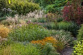 KNOLL GARDENS, DORSET: SEPTEMBER, GRASSES, THE DRAGON GARDEN, RUDBECKIA GOLDSTURM, PENNISETUM