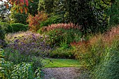 KNOLL GARDENS, DORSET: SEPTEMBER, THE LONG WALK, PATH, VERBENA BONARIENSIS, MISCANTHUS RED SPEAR (LAUNCH SPRING 2025)