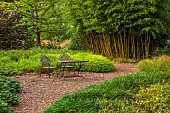 KNOLL GARDENS, DORSET: SEPTEMBER, PATH, TABLE, CHAIRS, HAKONECHLOA MACRA ALL GOLD, JAPANESE FOREST GRASS, BAMBOO, PHYLLOSTACHYS HENONIS, ORNAMENTAL GRASSES