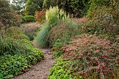 KNOLL GARDENS, DORSET: SEPTEMBER, PATH, FUCHSIA MAGELLANICA VAR. GRACILIS VERSICOLOR, PAMPAS GRASS, CORTADERIA SUNNINGDALE SILVER, ORNAMENTAL GRASSES