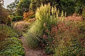 KNOLL GARDENS, DORSET: SEPTEMBER, PATH, FUCHSIA MAGELLANICA VAR. GRACILIS VERSICOLOR, PAMPAS GRASS, CORTADERIA SUNNINGDALE SILVER, ORNAMENTAL GRASSES