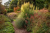 KNOLL GARDENS, DORSET: SEPTEMBER, PATH, FUCHSIA MAGELLANICA VAR. GRACILIS VERSICOLOR, PAMPAS GRASS, CORTADERIA SUNNINGDALE SILVER, ORNAMENTAL GRASSES