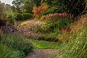 KNOLL GARDENS, DORSET: SEPTEMBER, THE LONG WALK, PATH, VERBENA BONARIENSIS, MISCANTHUS RED SPEAR (LAUNCH SPRING 2025)