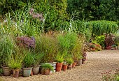 KNOLL GARDENS, DORSET: SEPTEMBER, CONTAINERS BESIDE THE NURSERY PLANTED WITH ORNAMENTAL GRASSES