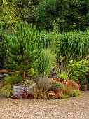 KNOLL GARDENS, DORSET: SEPTEMBER, CONTAINERS BESIDE THE NURSERY PLANTED WITH ORNAMENTAL GRASSES