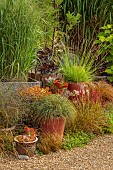 KNOLL GARDENS, DORSET: SEPTEMBER, CONTAINERS BESIDE THE NURSERY PLANTED WITH ORNAMENTAL GRASSES, SESLERIA AUTUMNALIS, SEDUM COPPERTONE