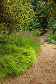 KNOLL GARDENS, DORSET: SEPTEMBER, PATH, SESLERIA AUTUMNALIS, PENNISETUM DARK DESIRE, ORNAMENTAL GRASSES