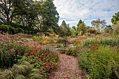 KNOLL GARDENS, DORSET: SEPTEMBER, THE DRAGON GARDEN, PATH, FOUNTAIN, SCULPTURE, ORNAMENTAL GRASSES, PERSICARIA, EUPATORIUM