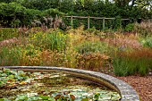 KNOLL GARDENS, DORSET: SEPTEMBER, THE DRAGON GARDEN, STIPA ALLGAU, ACNATHERUM ALLGAU, ORNAMENTAL GRASSES, PERENNIALS, POND, POOL, FOUNTAIN, WATERLILIES