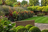 PRIVATE GARDEN, BERKSHIRE: ISTVAN DUDAS: LAWN, SEAT, BORDER, DAHLIA DAVID HOWARD, CANNA MUSIFOLIA, LAVANDULA VERA, SALVIA AMISTAD, TERRACE, CLIPPED BOX, HYDRANGEA ANNABELLE