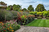PRIVATE GARDEN, BERKSHIRE: ISTVAN DUDAS: LAWN, BORDER, DAHLIA DAVID HOWARD, CANNA MUSIFOLIA, LAVANDULA VERA, SALVIA AMISTAD