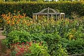 PRIVATE GARDEN, BERKSHIRE: ISTVAN DUDAS: VEGETABLE GARDEN, POTAGER, KITCHEN GARDEN, FLOWERS FOR CUTTING, HELIANTHUS ANNUUS SONJA, FRUIT CAGE