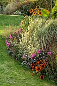 PRIVATE GARDEN, BERKSHIRE: ISTVAN DUDAS; BORDER, PHALARIS ARUNDINACEA PICTA, DAHLIA FASCINATION, HELIANTHUS ANNUUS ASTRA ROSE, RUDBECKIA HIRTA CAPPUCCINO
