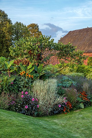 PRIVATE_GARDEN_BERKSHIRE_ISTVAN_DUDAS_PHALARIS_ARUNDINACEA_PICTA_DAHLIA_FASCINATION_HELIANTHUS_ANNUU