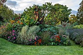 PRIVATE GARDEN, BERKSHIRE: ISTVAN DUDAS; PHALARIS ARUNDINACEA PICTA, DAHLIA FASCINATION, HELIANTHUS ANNUUS ASTRA ROSE, RUDBECKIA HIRTA CAPPUCCINO, RICINUS BLUE GIANT, CERCIS