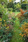 PRIVATE GARDEN, BERKSHIRE: ISTVAN DUDAS: SEDUM AUTUMN JOY, RUDBECKIA HERBSTONNE, CHIMCHIMINEE, TRILOBA, PERSICARIA FAT DOMINO, SANGUISORBA CANADENSIS, AMARANTHUS AUTUMNS TOUCH