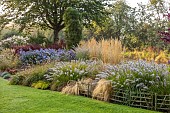 JOHN MASSEY GARDEN, ASHWOOD NURSERIES, WORCESTERSHIRE: SEPTEMBER, CALAMAGROSTIS KARL FOERSTER, PENNISETUM DARK DESIRE, SYMPHYOTRICHUM LITTLE CARLOW, BERBERIS ORANGE ROCKET