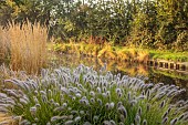 JOHN MASSEY GARDEN, ASHWOOD NURSERIES, WORCESTERSHIRE: SEPTEMBER, CALAMAGROSTIS KARL FOERSTER, PENNISETUM DARK DESIRE, CANAL