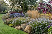 JOHN MASSEY GARDEN, ASHWOOD NURSERIES, WORCESTERSHIRE: SEPTEMBER, CALAMAGROSTIS KARL FOERSTER, PENNISETUM DARK DESIRE, SYMPHYOTRICHUM LITTLE CARLOW, BERBERIS ORANGE ROCKET