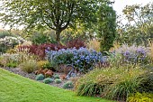 JOHN MASSEY GARDEN, ASHWOOD NURSERIES, WORCESTERSHIRE: SEPTEMBER, CALAMAGROSTIS KARL FOERSTER, PENNISETUM DARK DESIRE, SYMPHYOTRICHUM LITTLE CARLOW, BERBERIS ORANGE ROCKET
