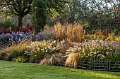 JOHN MASSEY GARDEN, ASHWOOD NURSERIES, WORCESTERSHIRE: SEPTEMBER, CALAMAGROSTIS KARL FOERSTER, PENNISETUM DARK DESIRE, SYMPHYOTRICHUM LITTLE CARLOW, BERBERIS ORANGE ROCKET