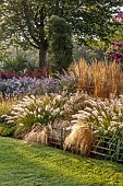 JOHN MASSEY GARDEN, ASHWOOD NURSERIES, WORCESTERSHIRE: SEPTEMBER, CALAMAGROSTIS KARL FOERSTER, PENNISETUM DARK DESIRE, SYMPHYOTRICHUM LITTLE CARLOW, BERBERIS ORANGE ROCKET