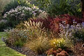 JOHN MASSEY GARDEN, ASHWOOD NURSERIES, WORCESTERSHIRE: SEPTEMBER, BERBERIS ORANGE ROCKET, YELLOW ROCKET, CHIONOCHLOA RUBRA, ERYNGIUM SILVRE GHOST, COTINUS LITTLE LADY