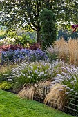 JOHN MASSEY GARDEN, ASHWOOD NURSERIES, WORCESTERSHIRE: SEPTEMBER, CALAMAGROSTIS KARL FOERSTER, PENNISETUM DARK DESIRE, SYMPHYOTRICHUM LITTLE CARLOW, BERBERIS ORANGE ROCKET