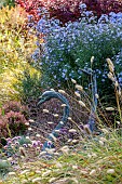 JOHN MASSEY GARDEN, ASHWOOD NURSERIES, WORCESTERSHIRE: SEPTEMBER, PENNISETUM DARK DESIRE, SYMPHYOTRICHUM LITTLE CARLOW, BERBERIS ORANGE ROCKET, SWAN SCULPTURE