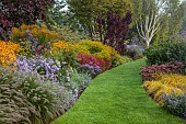 JOHN MASSEY GARDEN, ASHWOOD NURSERIES, WORCESTERSHIRE: ASTER ULTRAMARINE, IMPERATA RUBRA RED BARRON, MALUS AROS, NEPETA WALKERS LOW, BORDERS, CAREX EVERILLO, SEDUM MATRONA, BETULA
