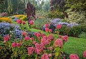 JOHN MASSEY GARDEN, ASHWOOD NURSERIES, WORCESTERSHIRE: RIDE BEDS, SEPTEMBER, BORDERS, HYDRANGEA PANICULATA, ASTER ULTRAMARINE, RUDBECKIA DEAMII